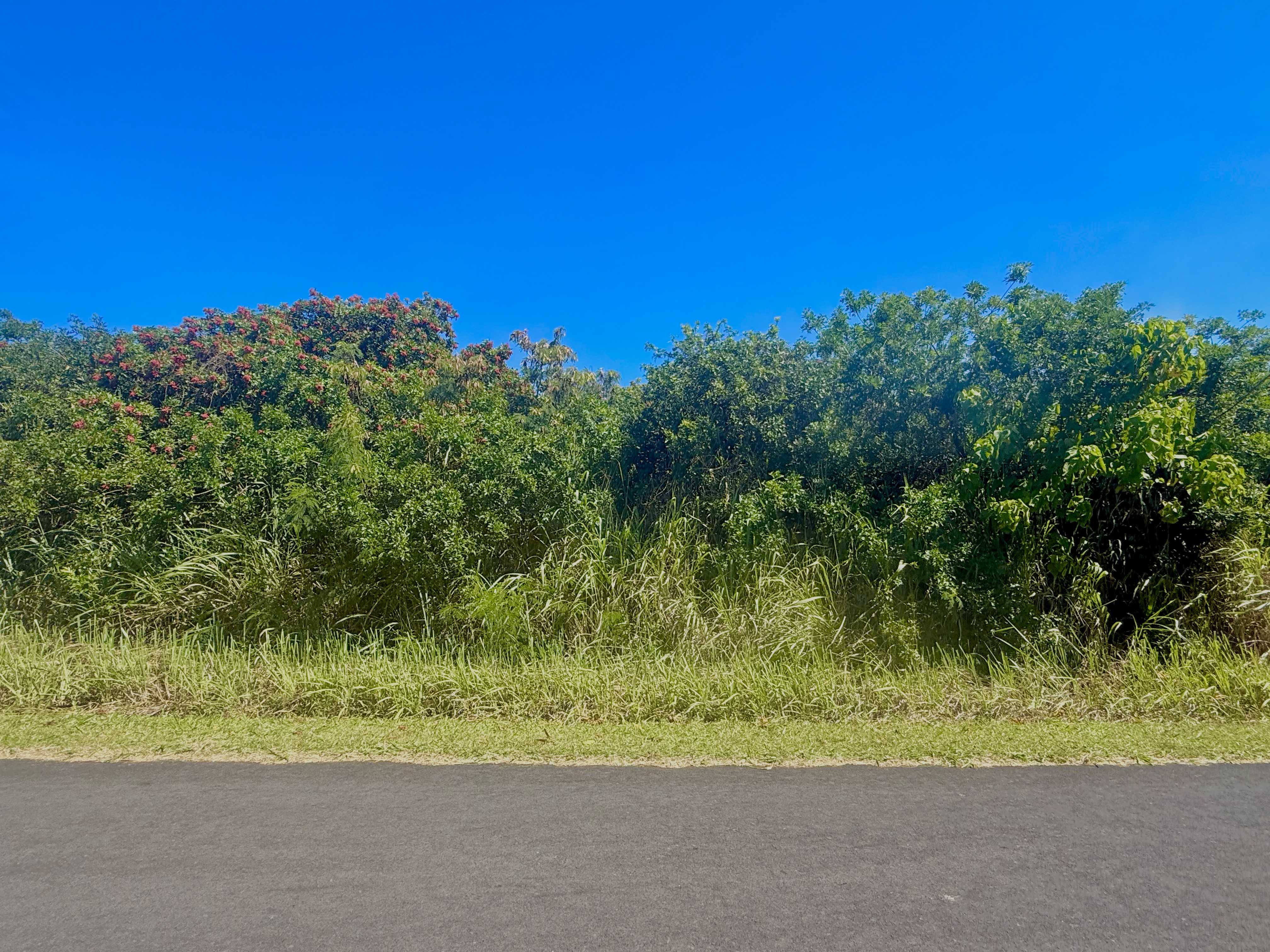 Naalehu, HI 96772,LEWA LANI ST