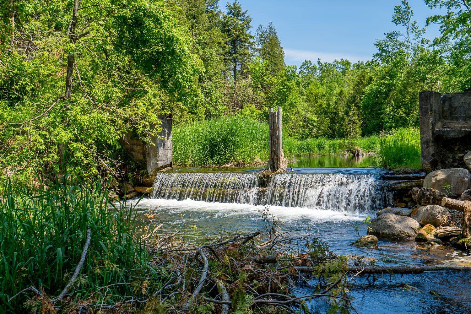 Mulmur, ON L0N 1S7,707063 County Road 21 N/A