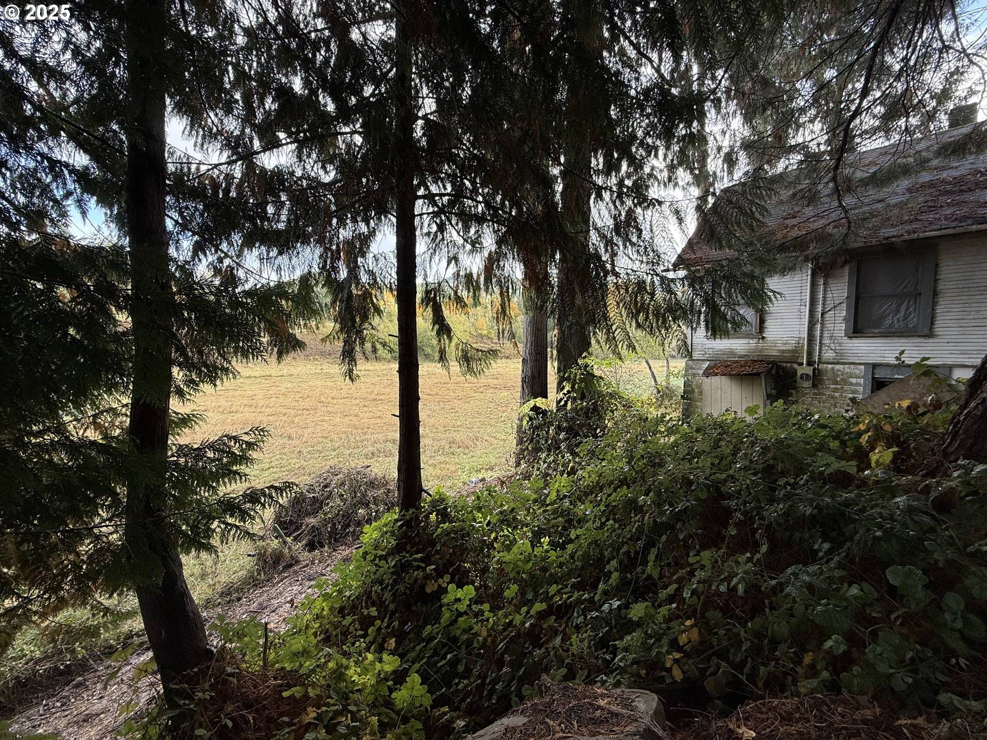 Kelso, WA 98626,2701 ALLEN ST