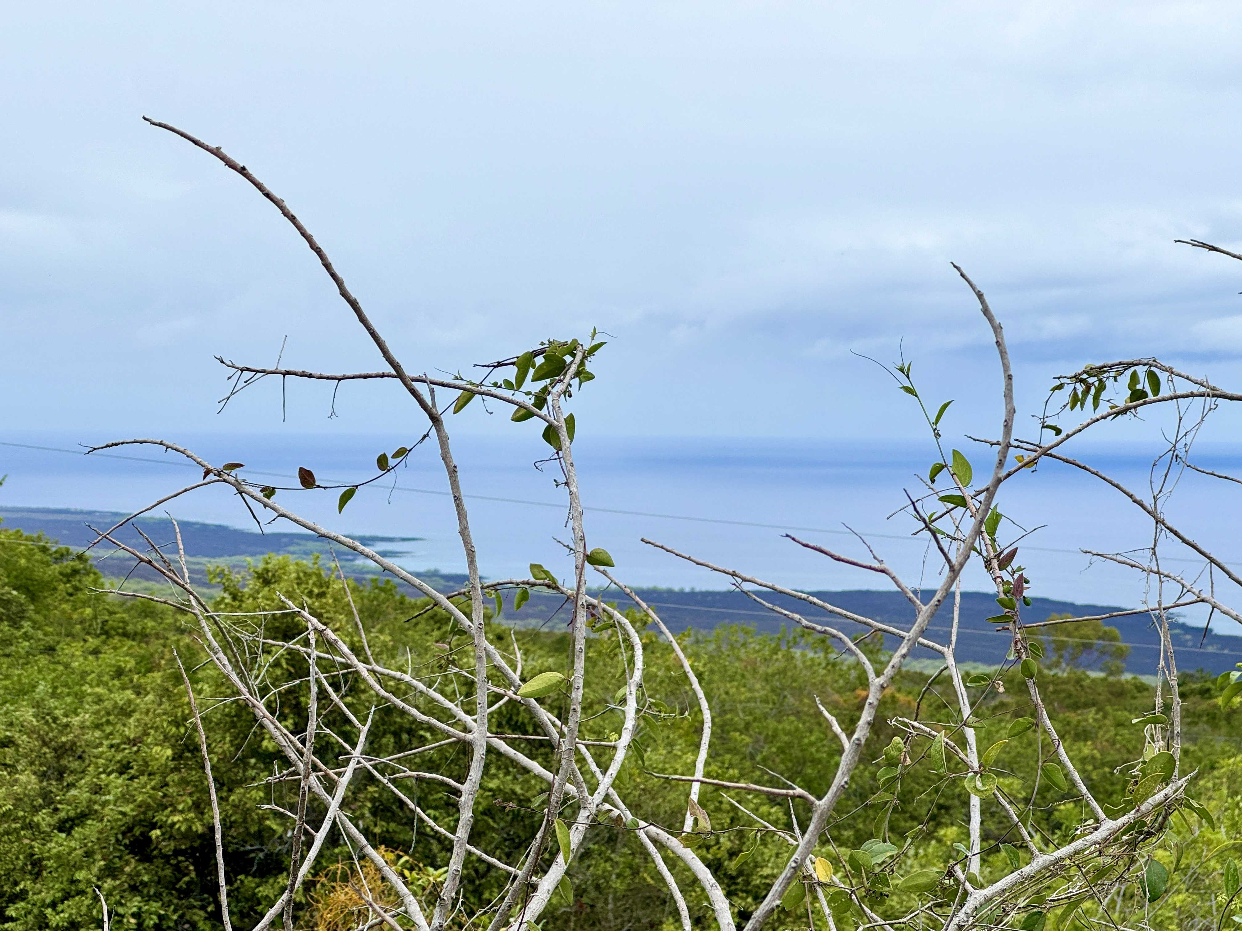 Captain Cook, HI 96704