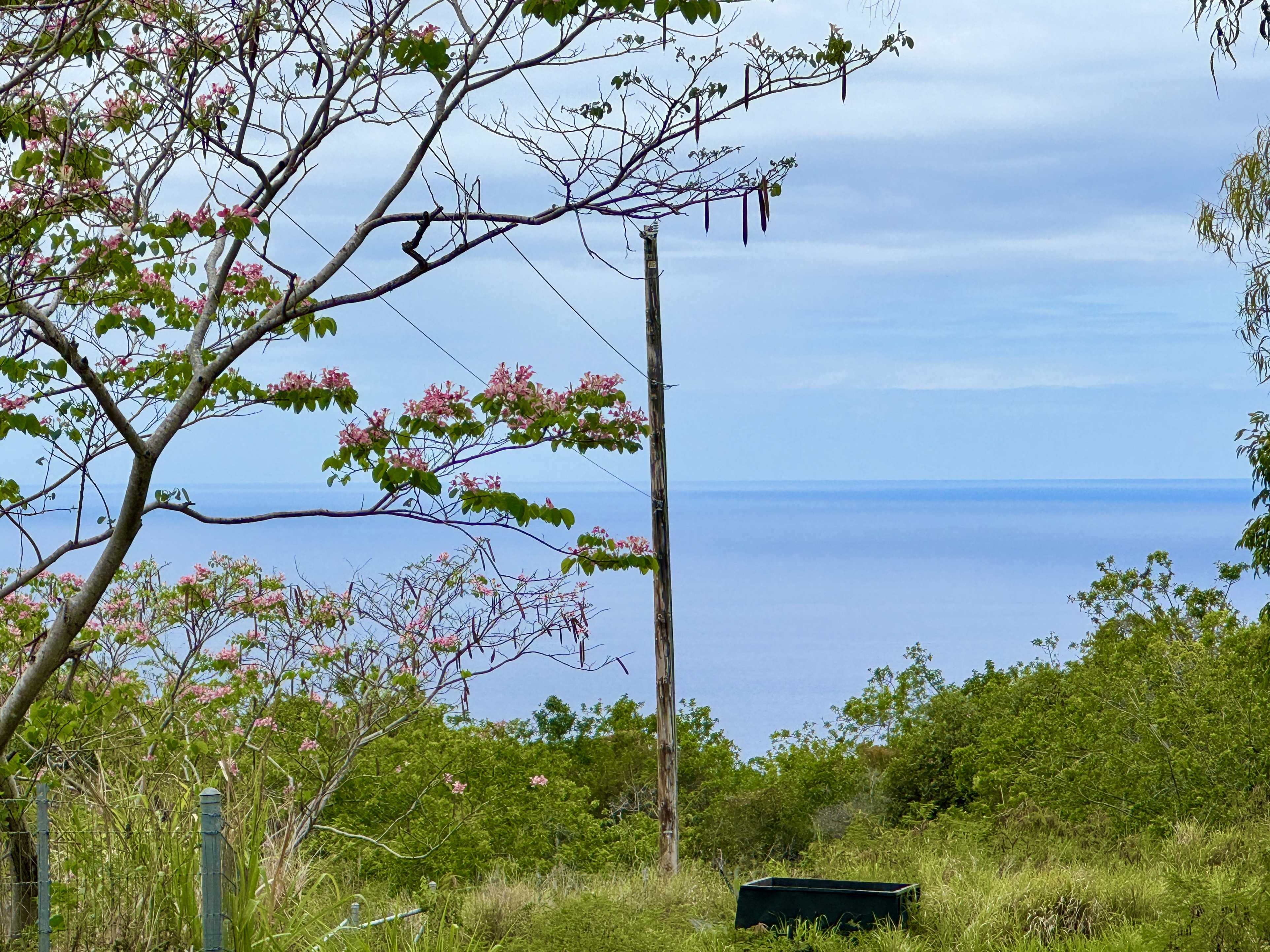 Captain Cook, HI 96704