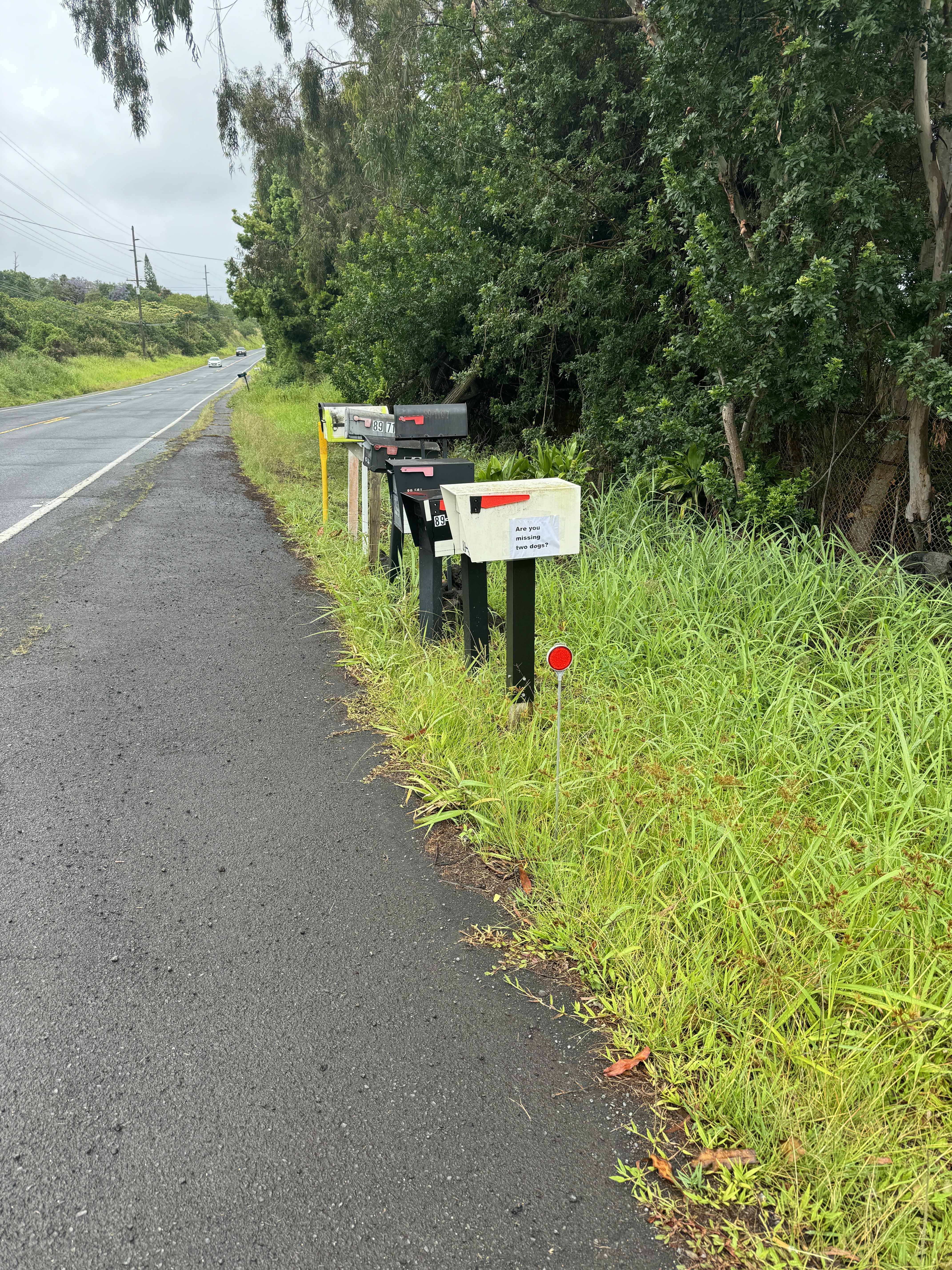 Captain Cook, HI 96704