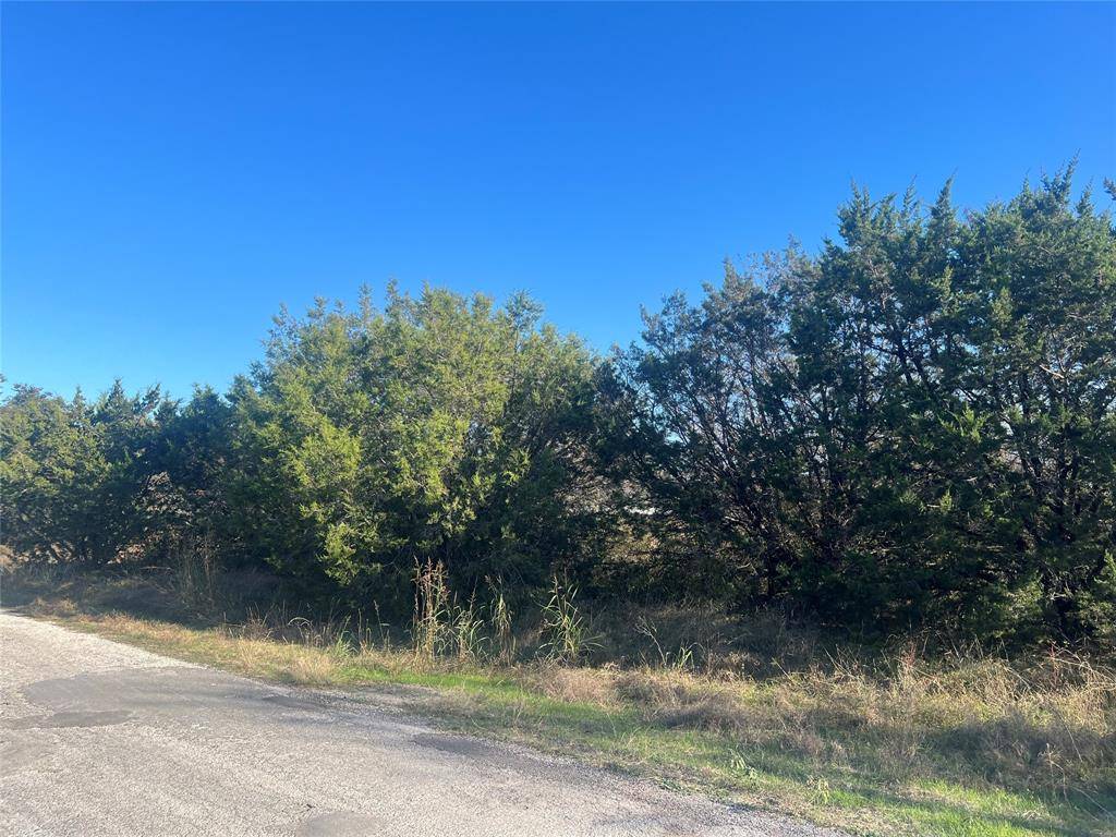 Granbury, TX 76048,2921 BLACKJACK Lane