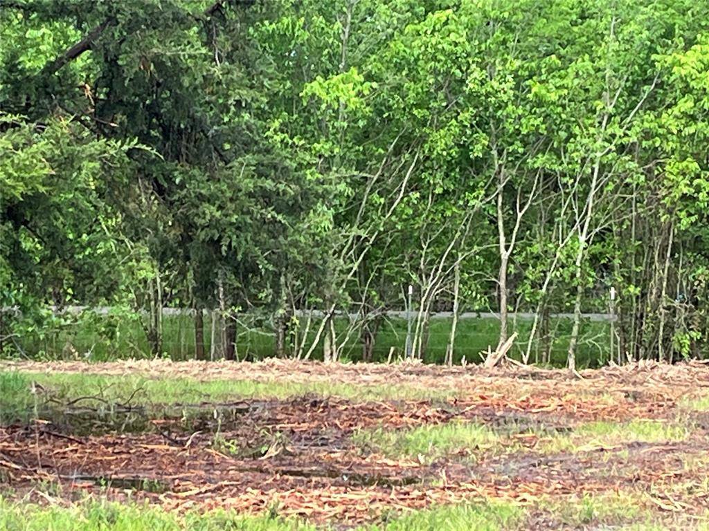 Celeste, TX 75423,3605 County Road 1108