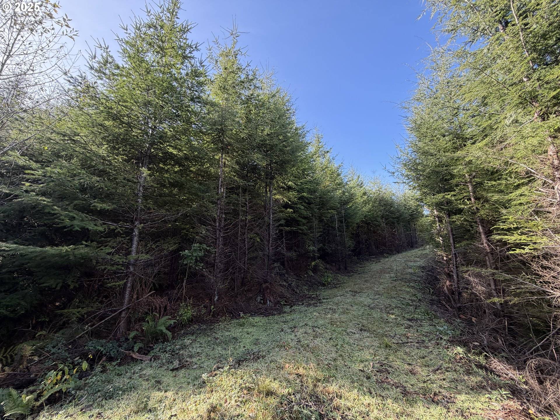 Seaside, OR 97138,0 Necanicum HWY