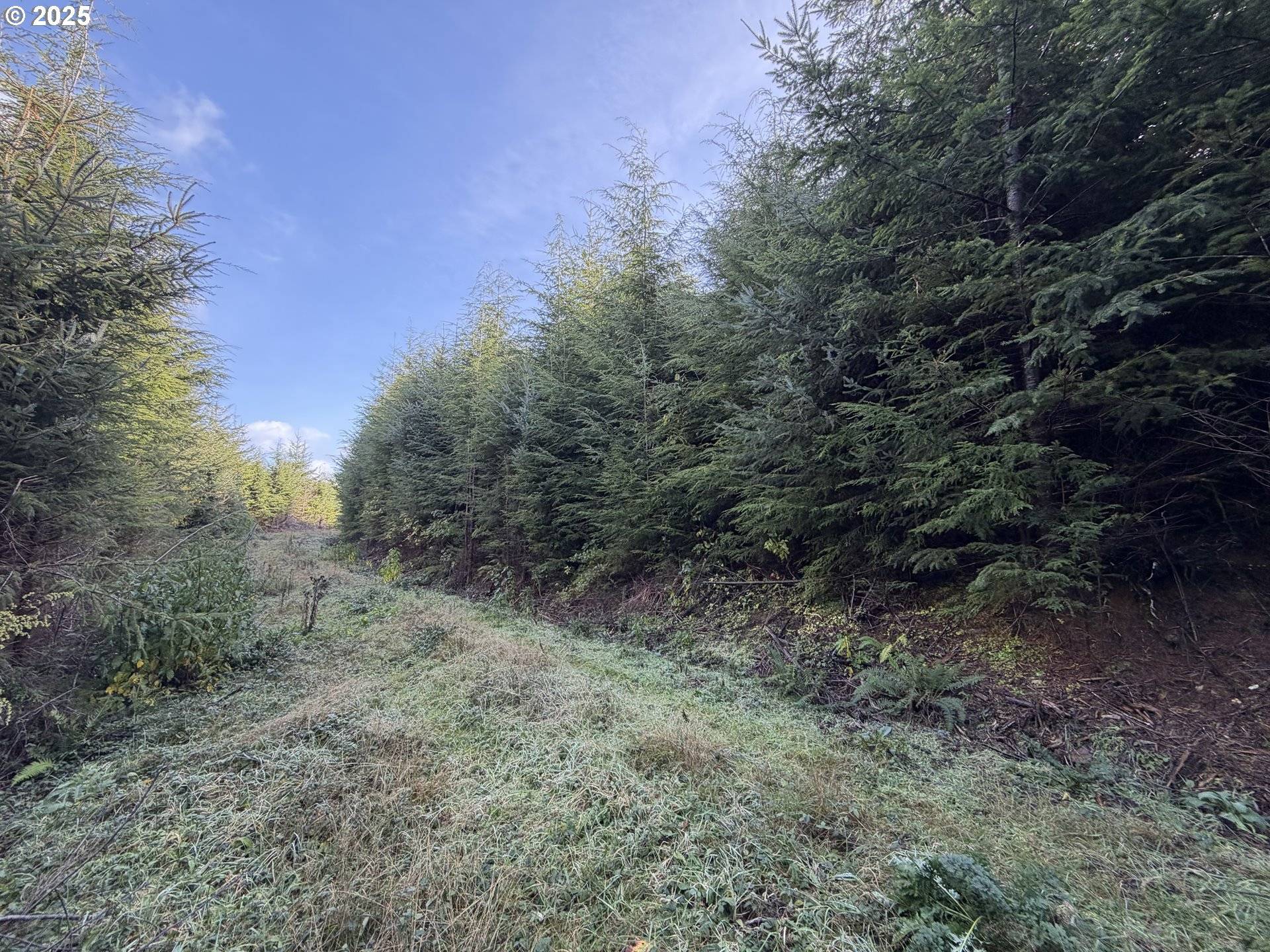 Seaside, OR 97138,0 Necanicum HWY