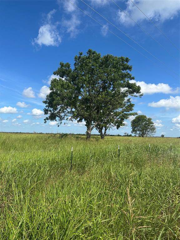 Tract 1 County Road 3430, Honey Grove, TX 75446