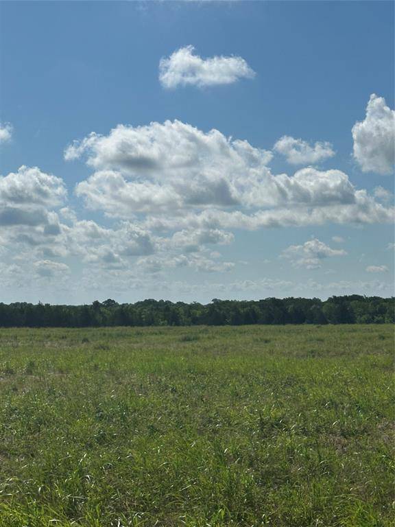 Honey Grove, TX 75446,Tract 2 County Road 3430