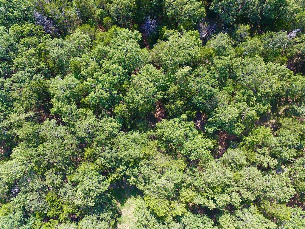 Gordonville, TX 76245,19C Coyote Springs Court