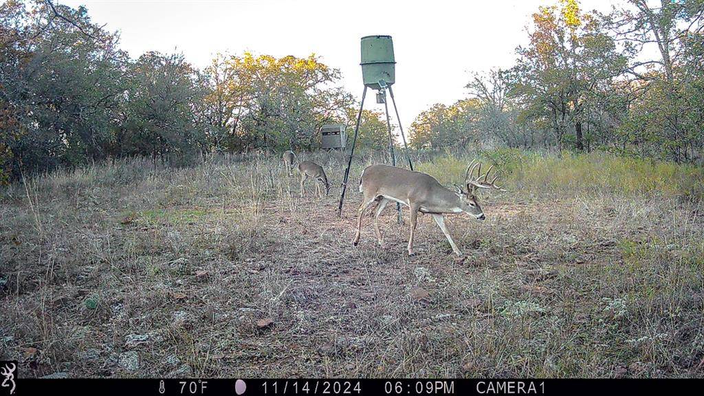 Bowie, TX 76230,TBD Bloodworth Rd. Road