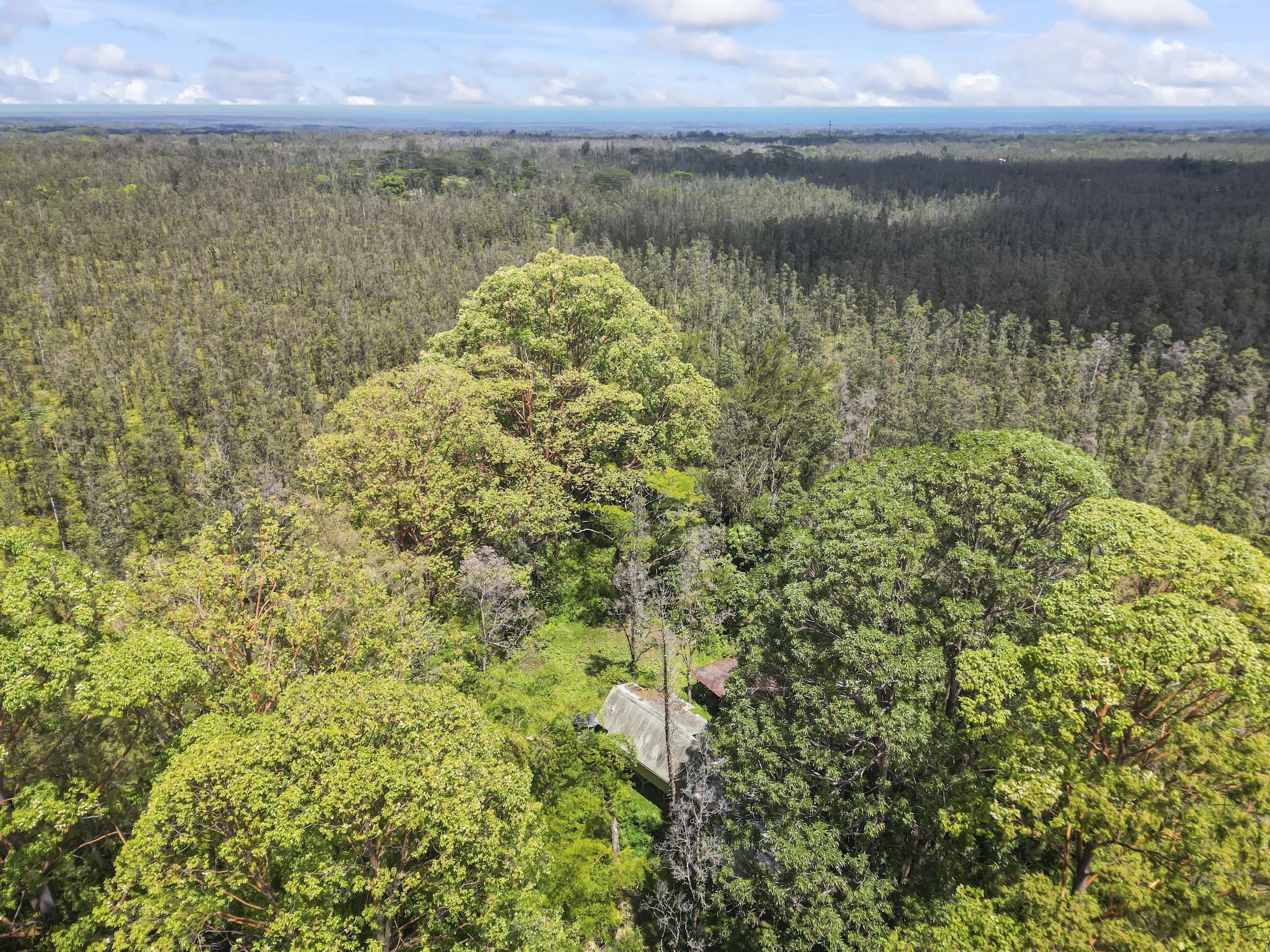 Mountain View, HI 96760,16-1857 HOPUE RD