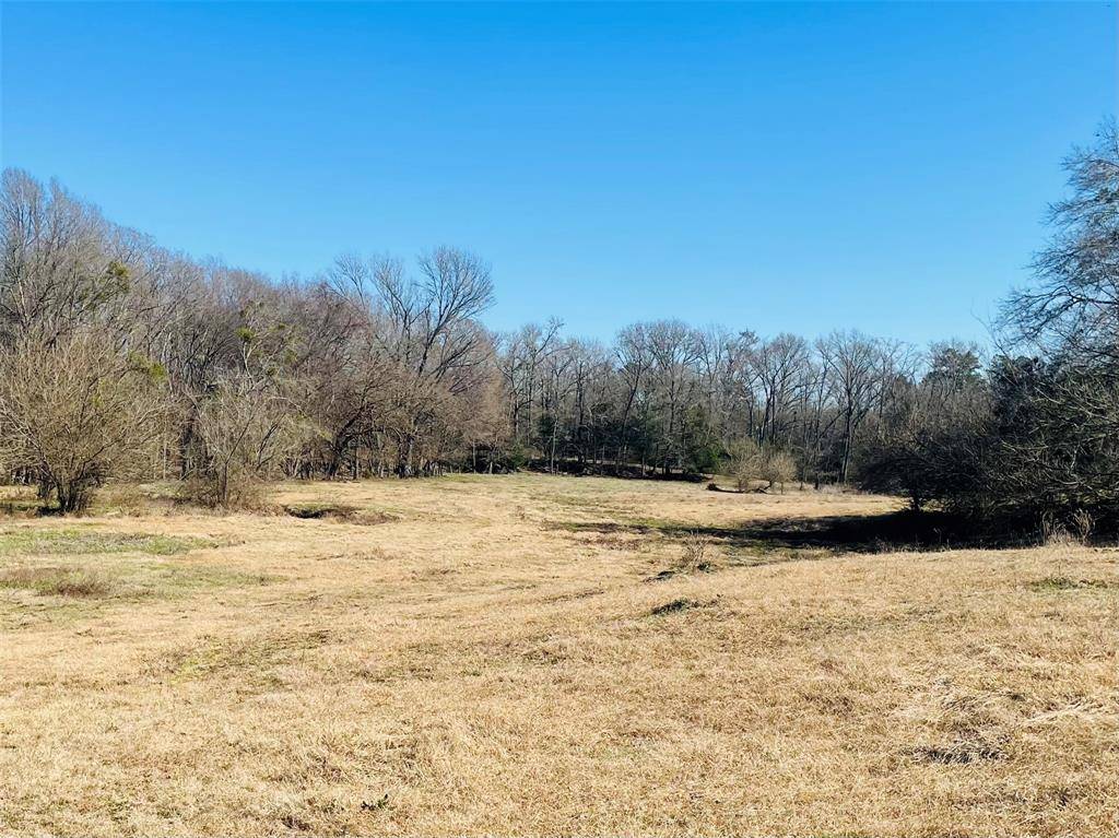 Winnsboro, TX 75494,1155 County Road 2376 #Tract 2A