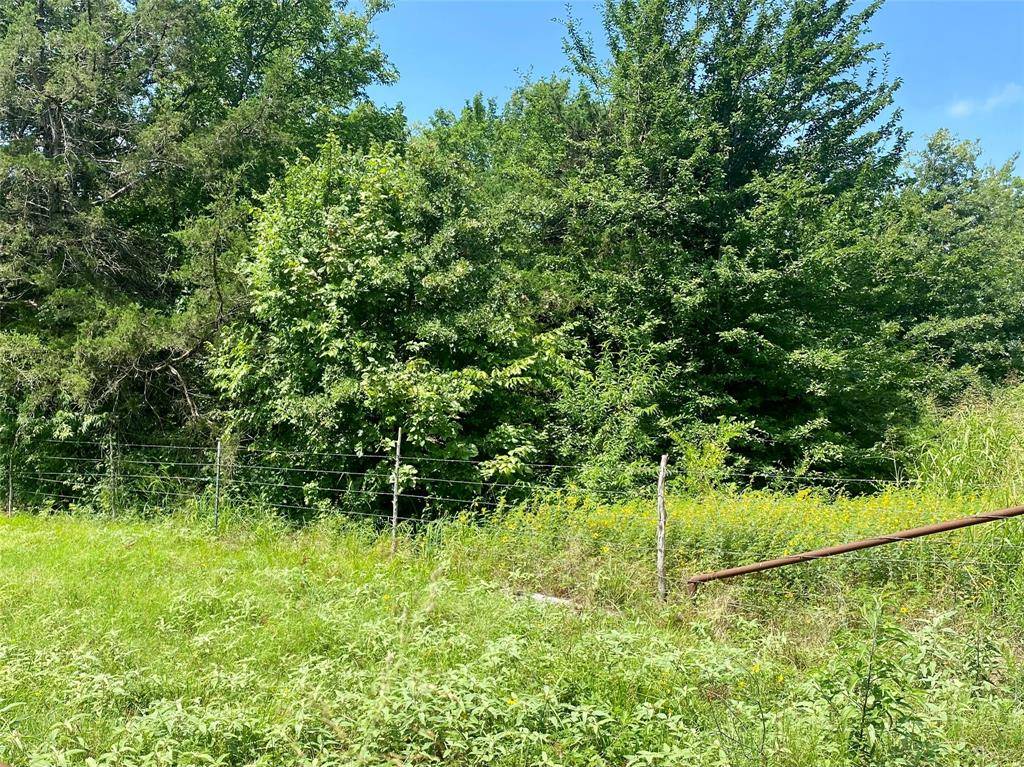 Telephone, TX 75488,921 County Road 2285