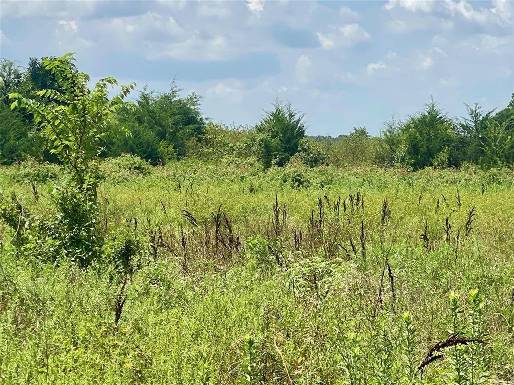 Telephone, TX 75488,923 County Road 2285