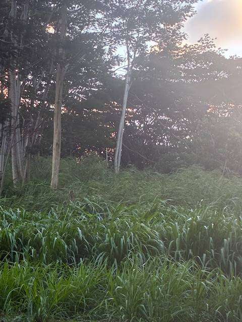 Kapaa, HI 96746,#14A