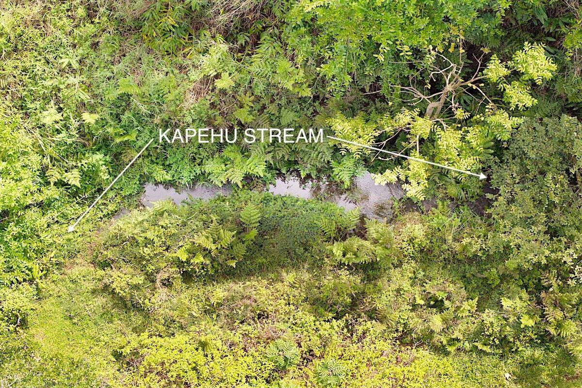 28-668 KAUPAKUEA HOMESTEAD RD, Papaikou, HI 96783