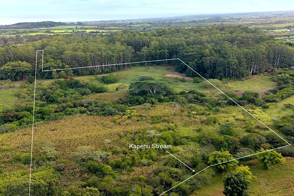 28-668 KAUPAKUEA HOMESTEAD RD, Papaikou, HI 96783