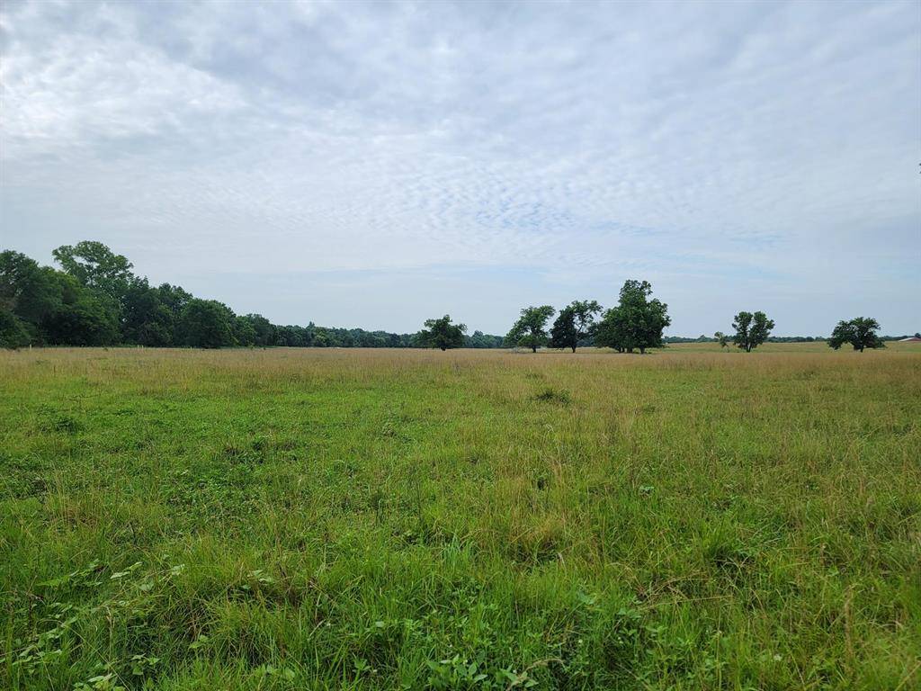 Honey Grove, TX 75446,231 ACRES TBD FM 100
