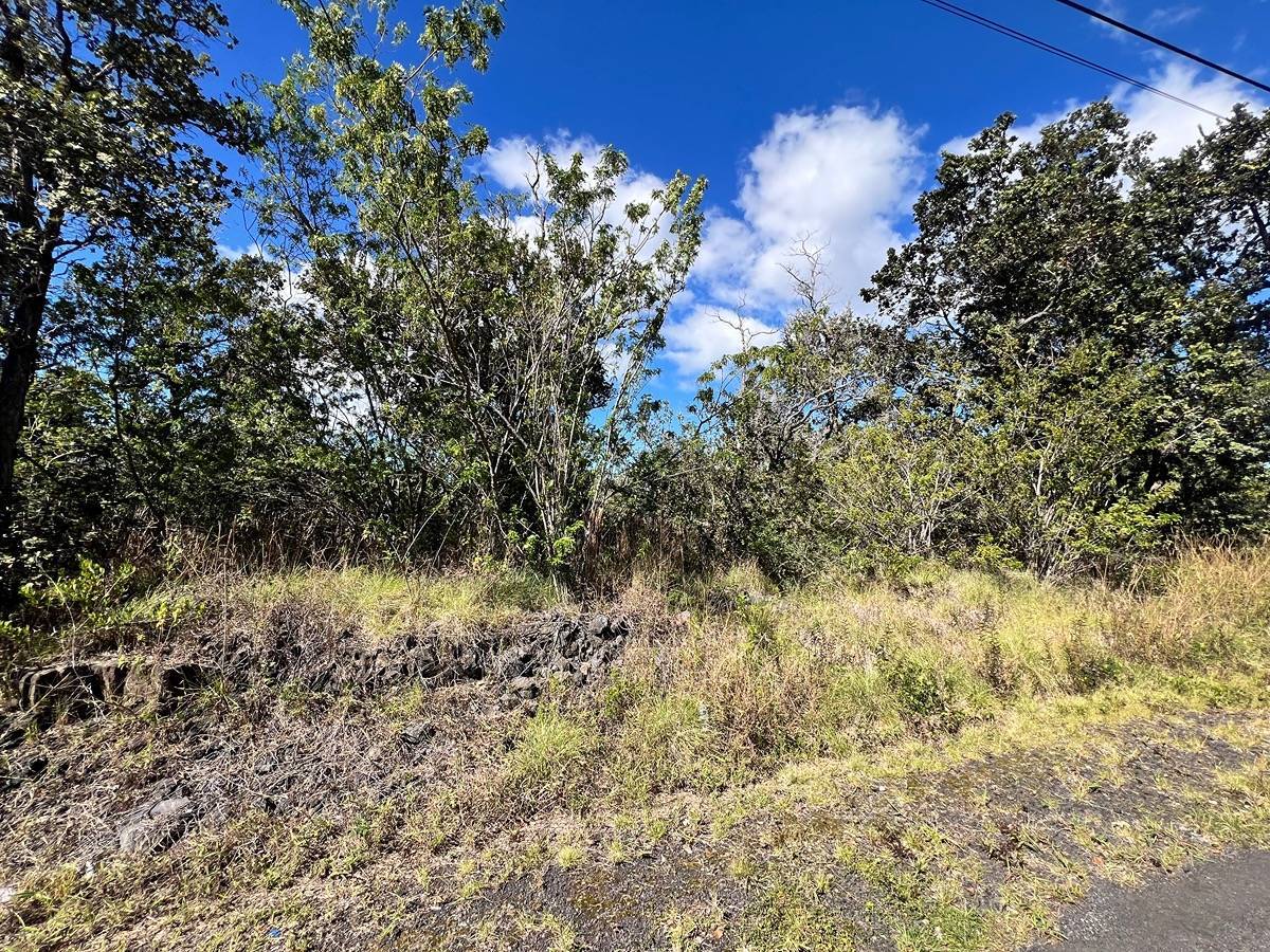 Ocean View, HI 96737,92-8805 LEILANI PKWY