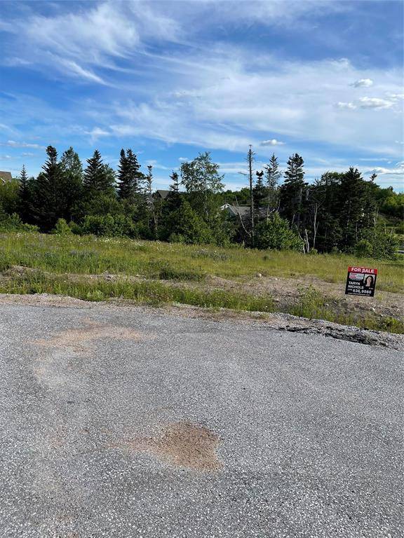 Deer Lake, NL A8A 0C3,8A Jacks Place