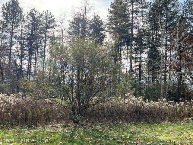 Ortonville, MI 48462,LOT 34 N Pine Ridge Dr.