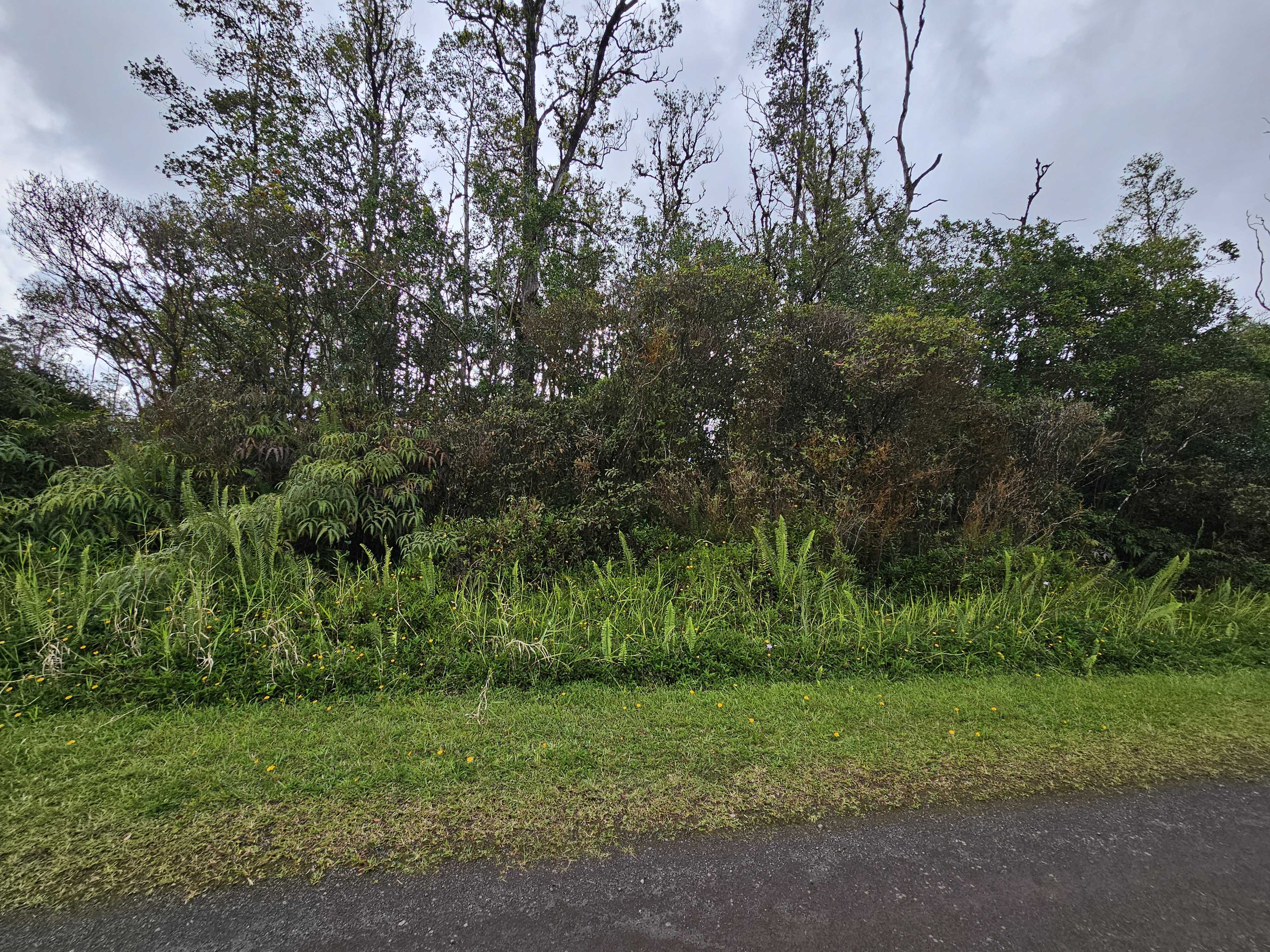 Pahoa, HI 96778,SUGARCANE LN