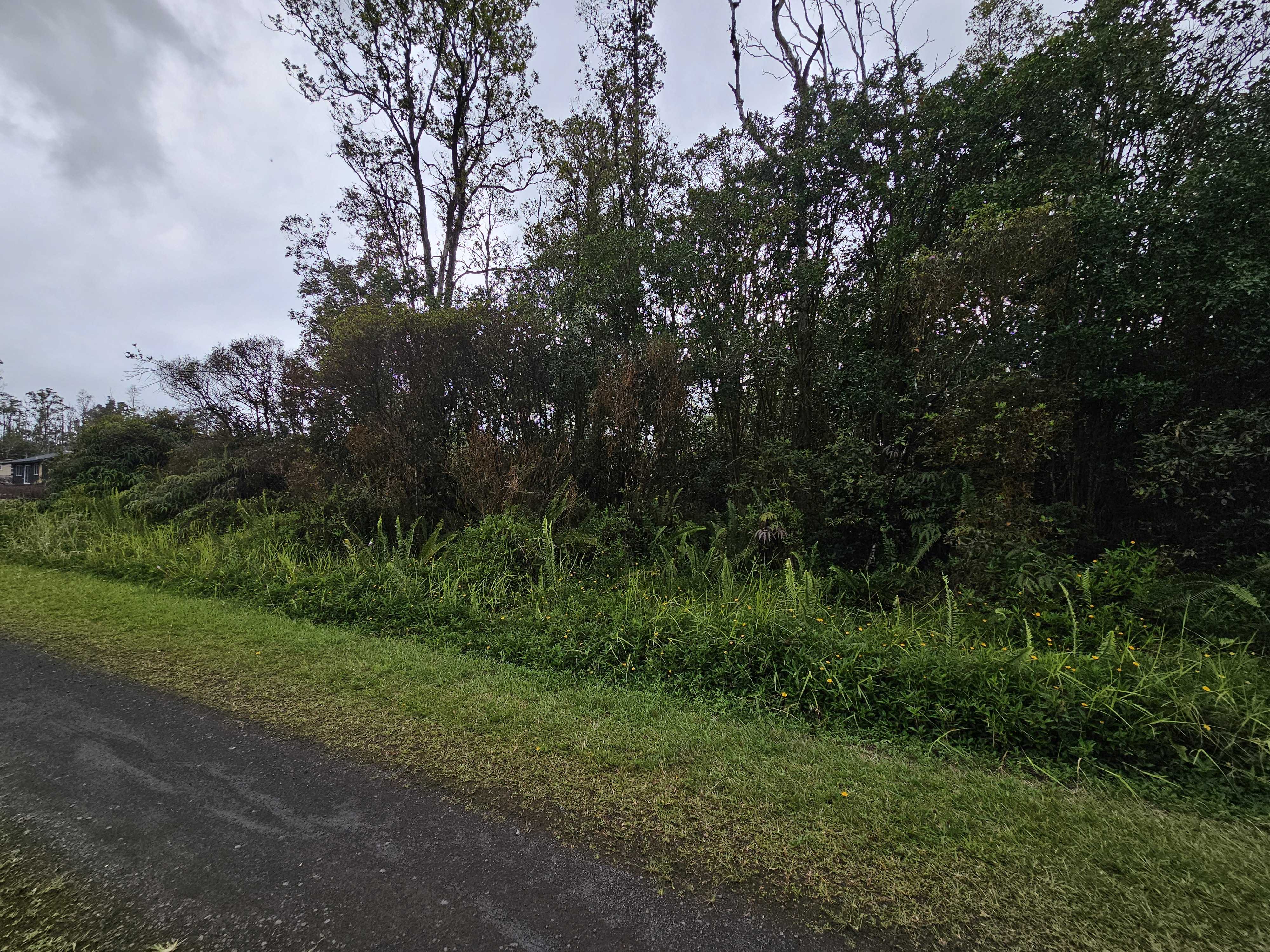 Pahoa, HI 96778,SUGARCANE LN