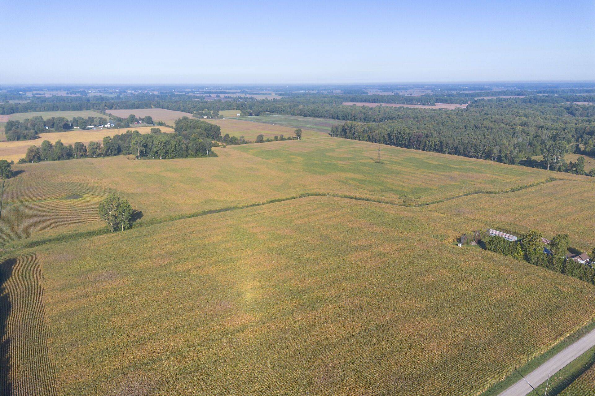 Chatham-kent, ON N0P 2K0,29182 Zone 4 RD