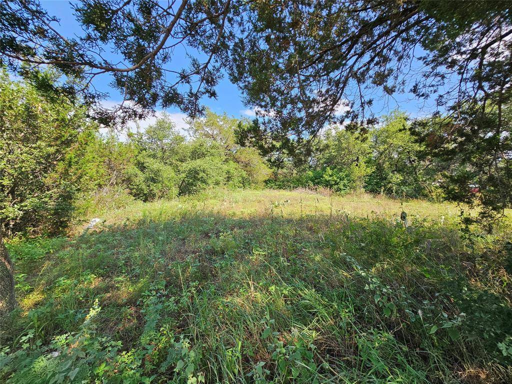 Weatherford, TX 76087,TBD Lakeview Trail