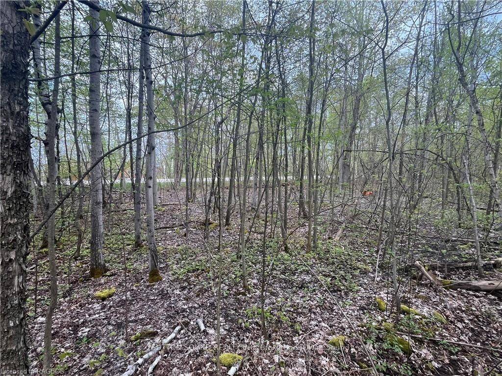 Georgian Bluffs, ON N0H 2T0,Lot 5 Grey  Road 1 N/A