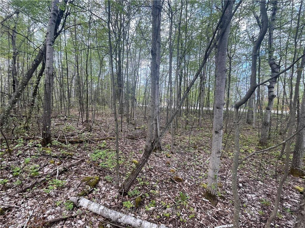 Georgian Bluffs, ON N0H 2T0,Lot 5 Grey  Road 1 N/A