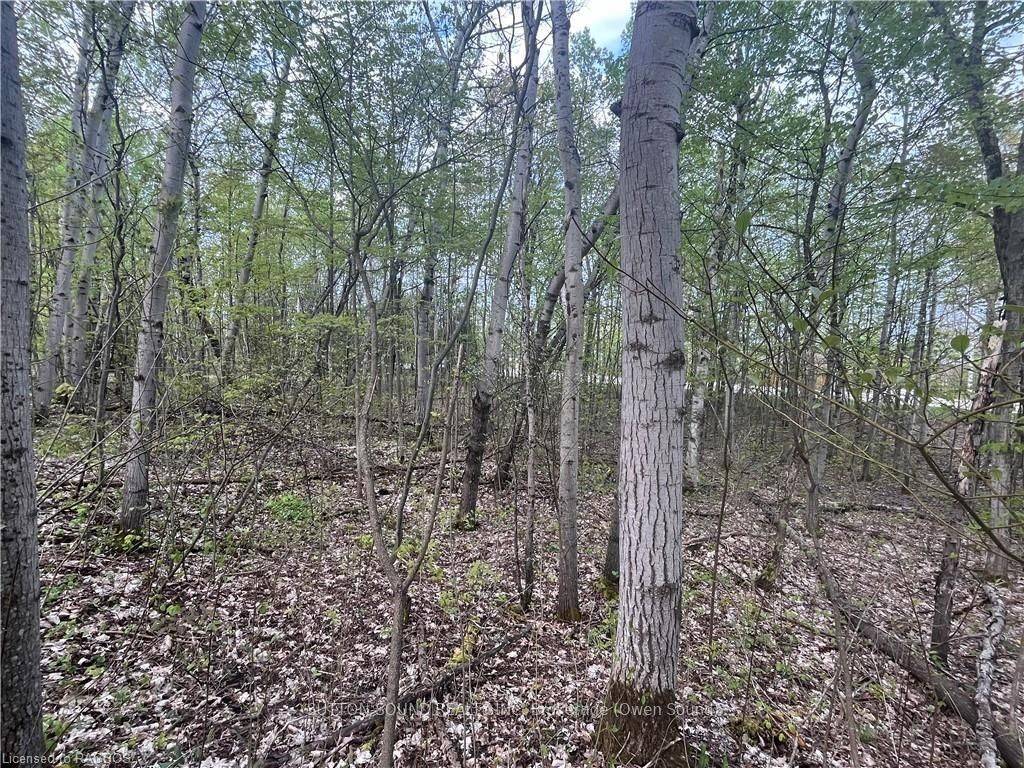 Georgian Bluffs, ON N0H 2T0,Lot 6 Grey Road 1 N/A