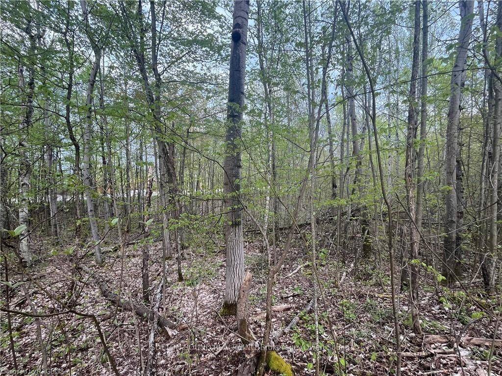 Georgian Bluffs, ON N0H 2T0,Lot 6 Grey Road 1 N/A