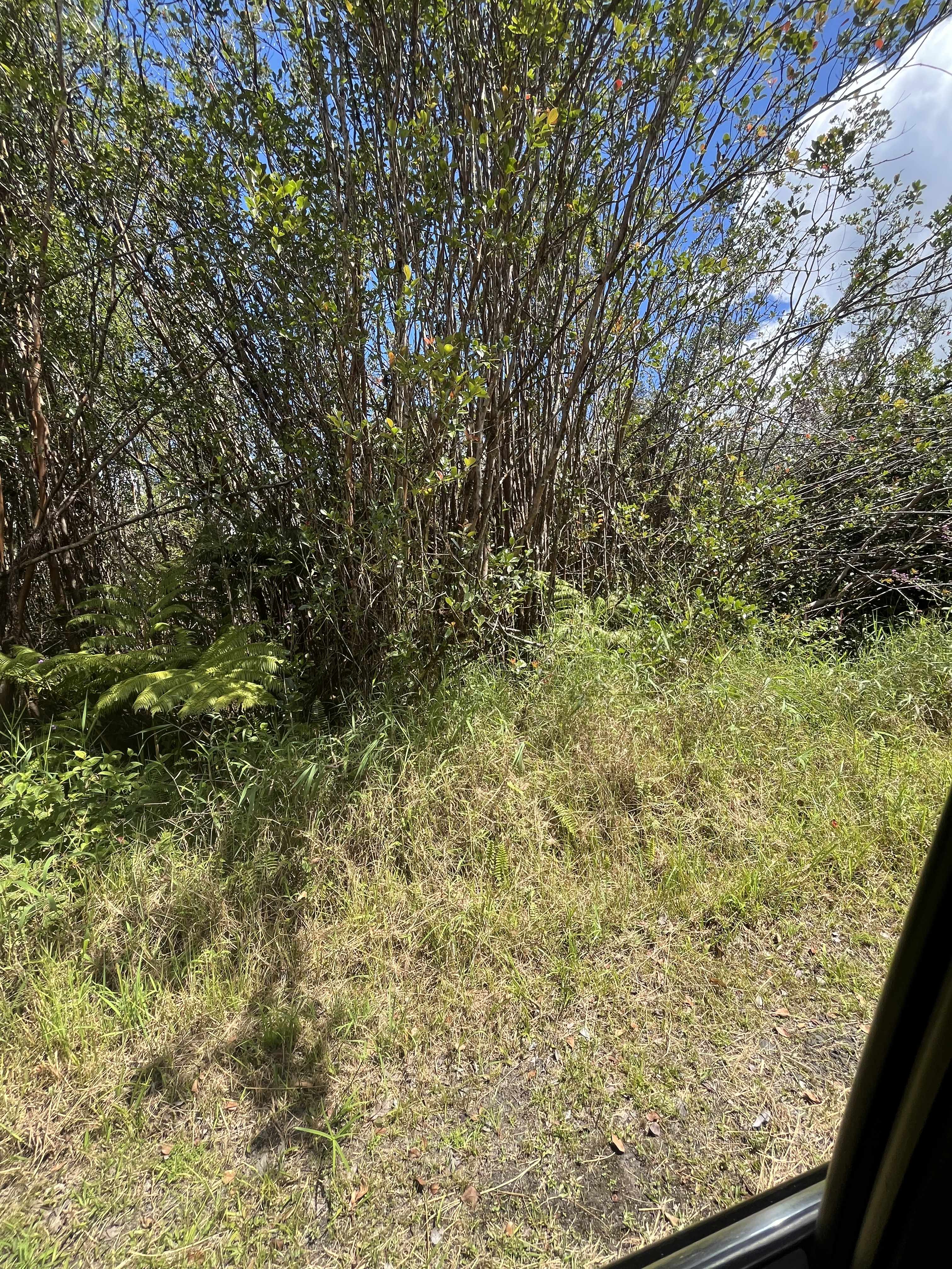 Volcano, HI 96785,HOLANA ST