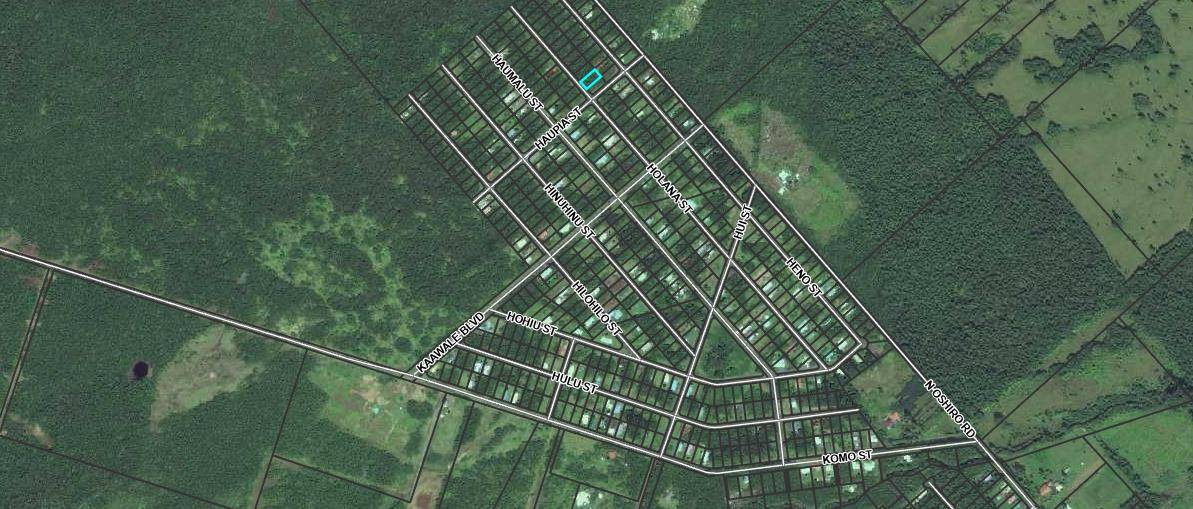 Volcano, HI 96785,HOLANA ST