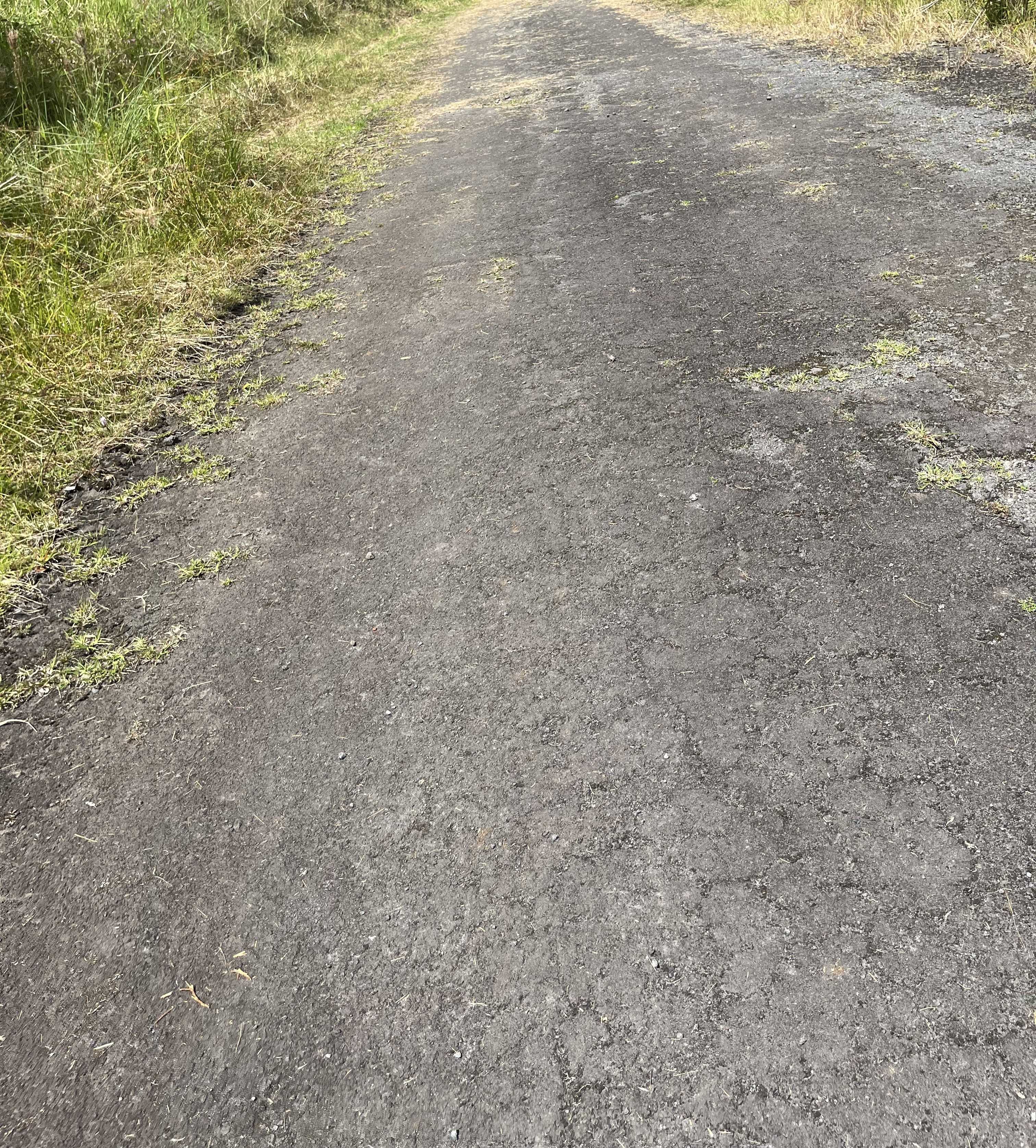 Volcano, HI 96785,HOLANA ST