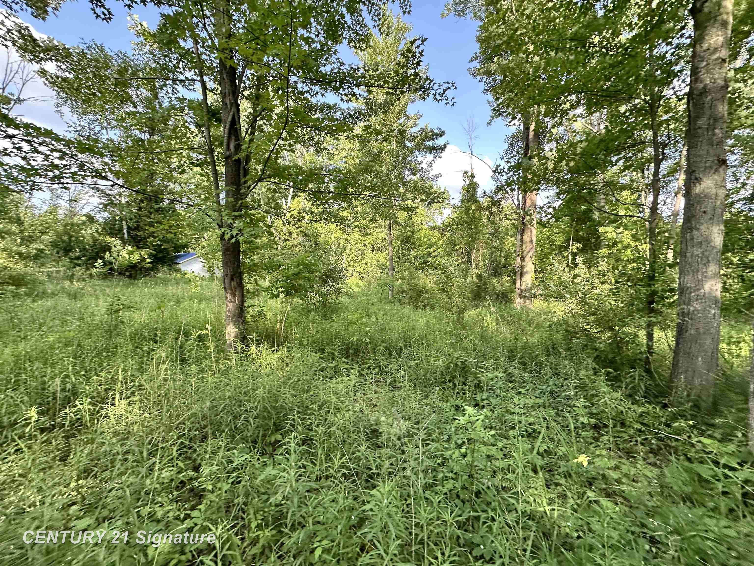 4020 Wieman RD, Billings Twp, MI 48612