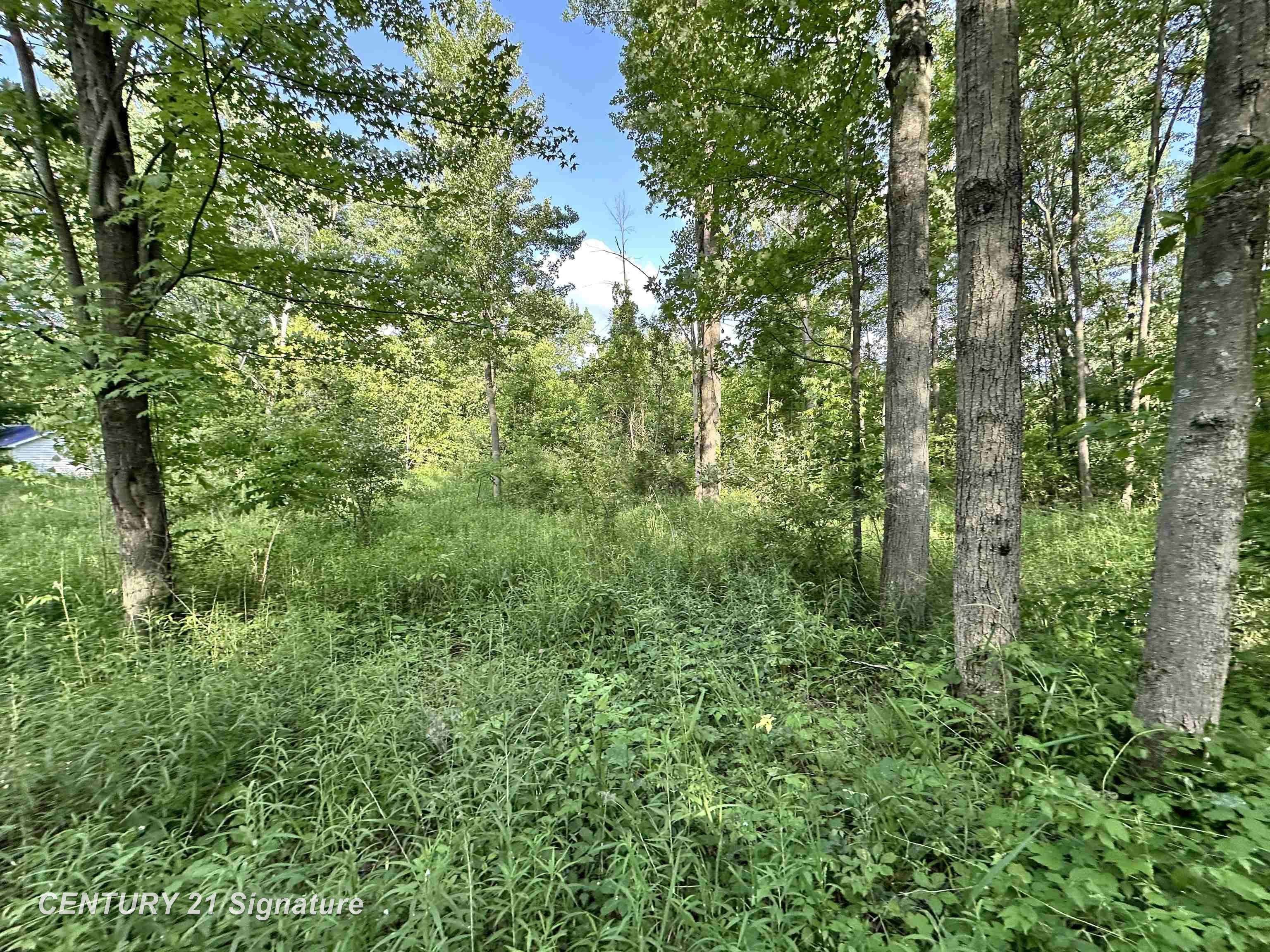 4020 Wieman RD, Billings Twp, MI 48612