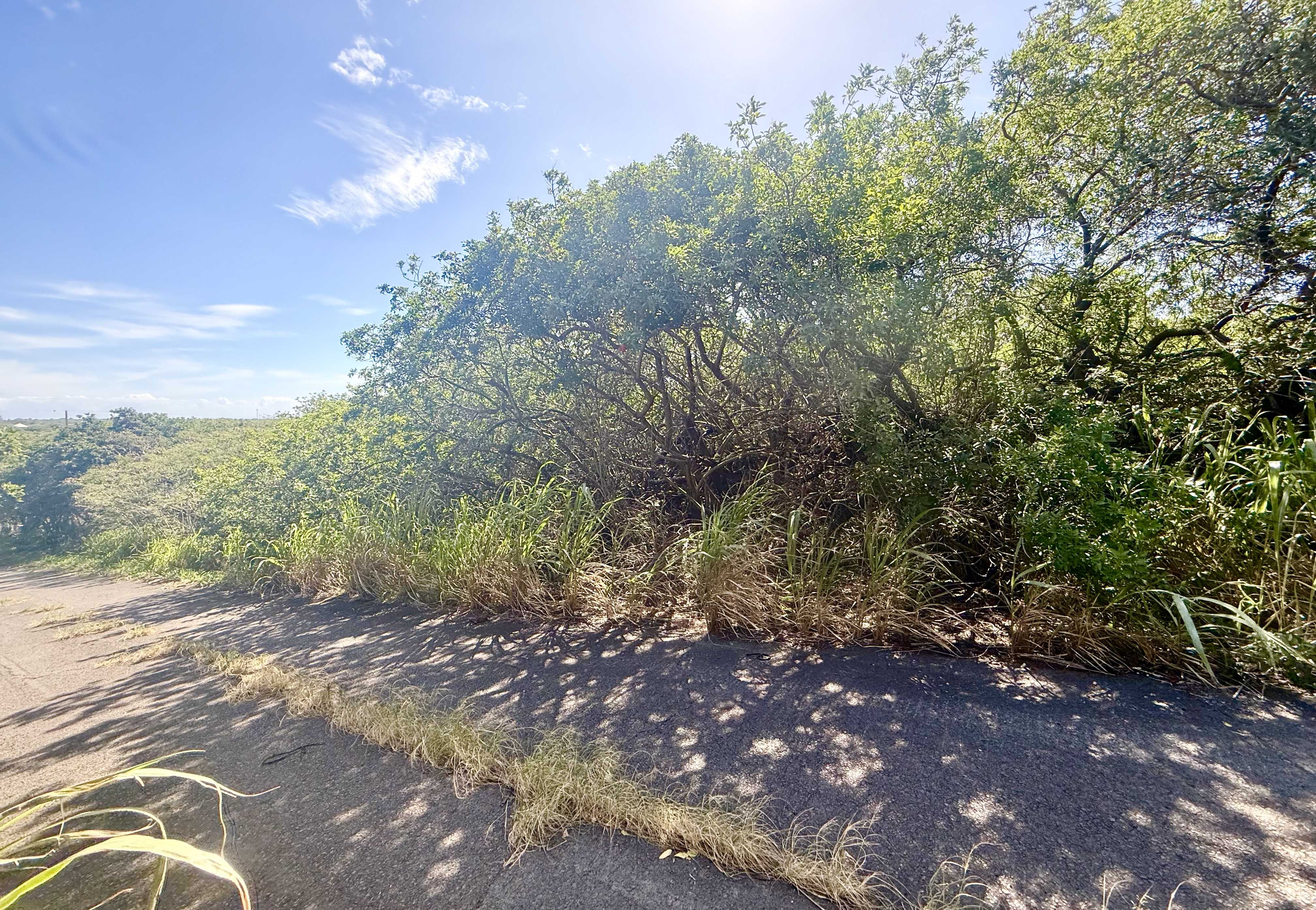 Naalehu, HI 96772,PUA ST