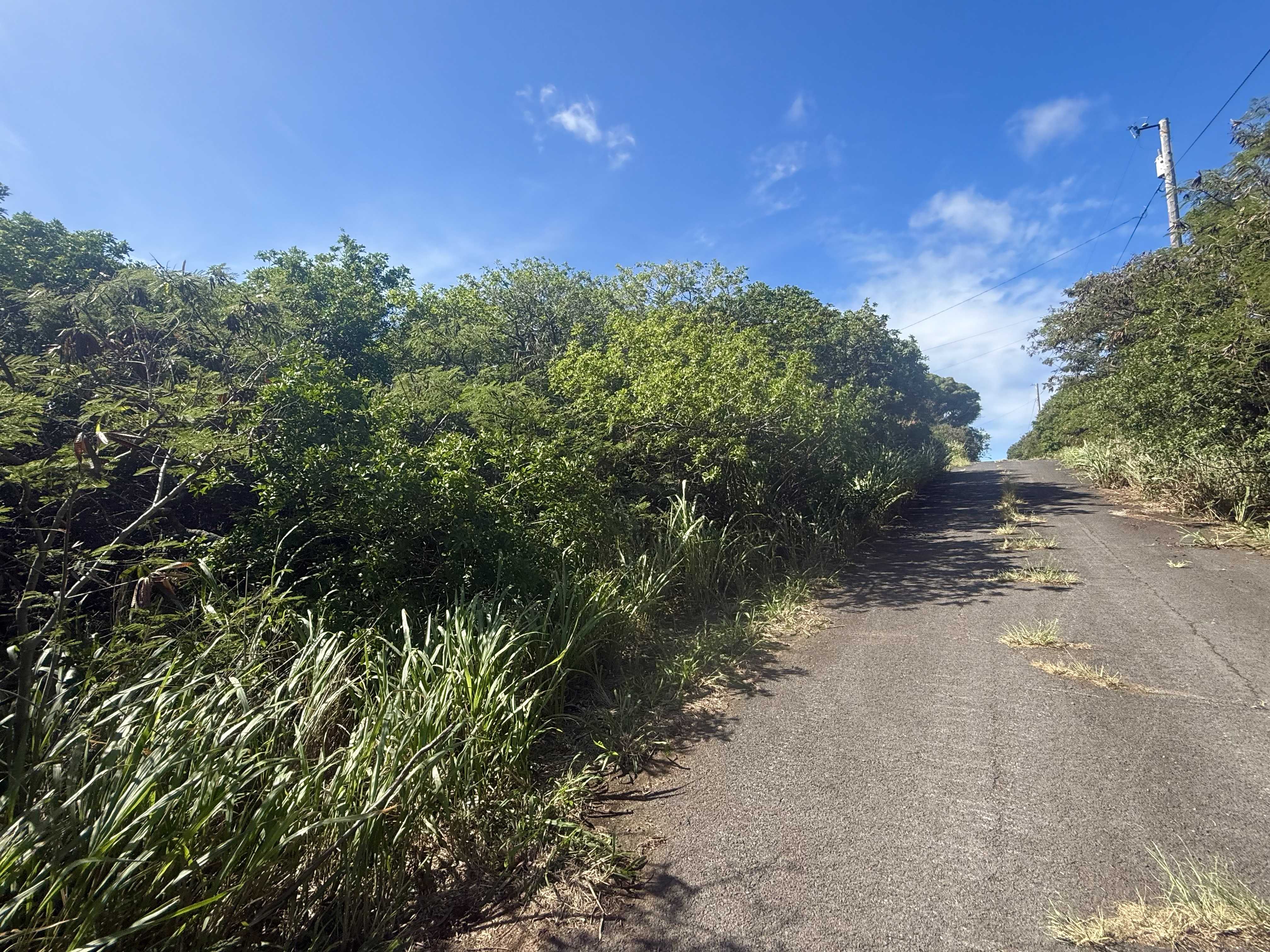 Naalehu, HI 96772,PUA ST