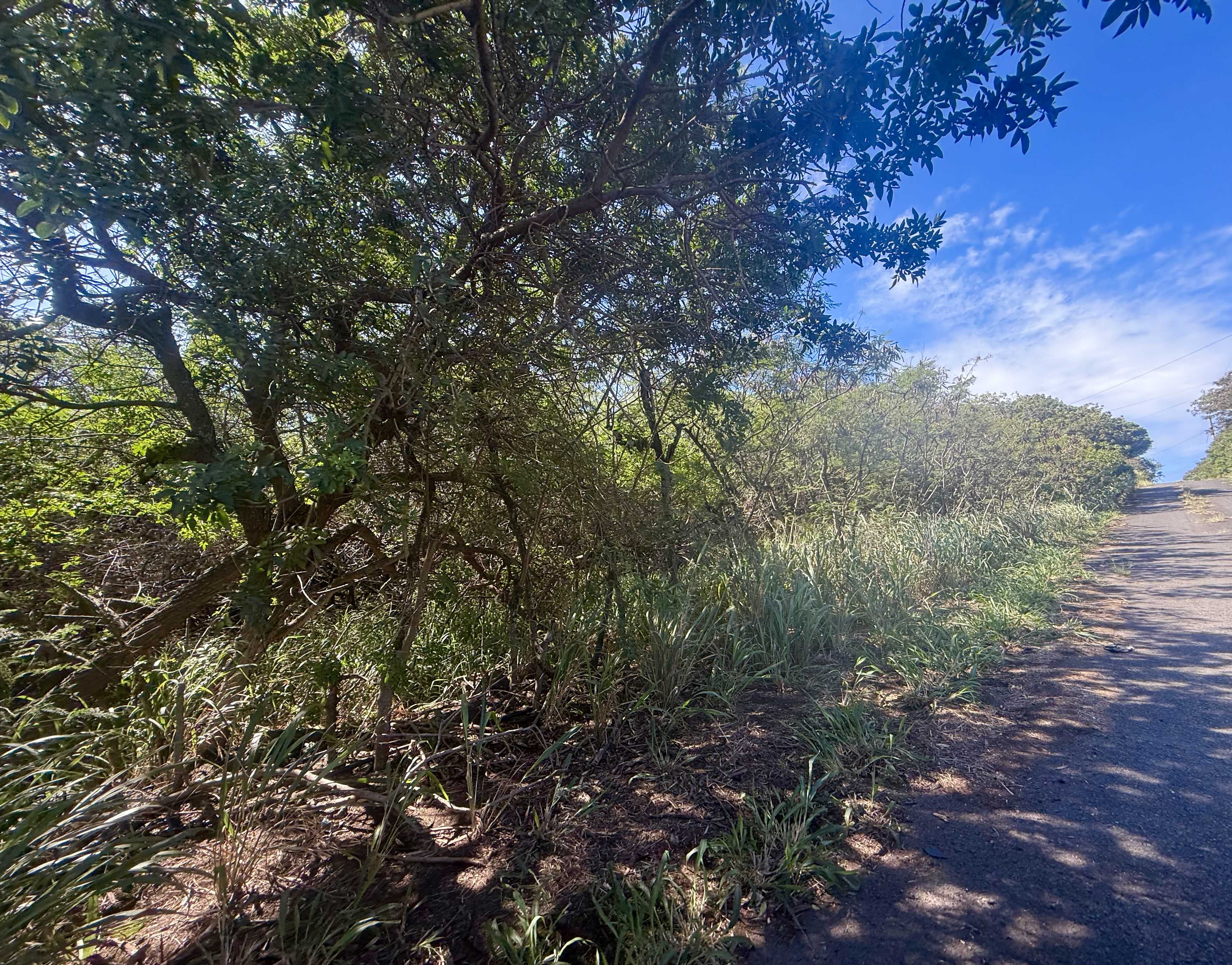 Naalehu, HI 96772,PUA ST