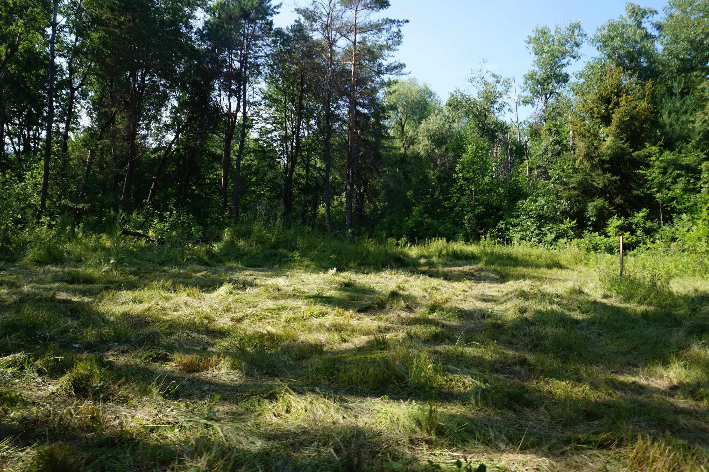 MI 48770,00 Tawas RD