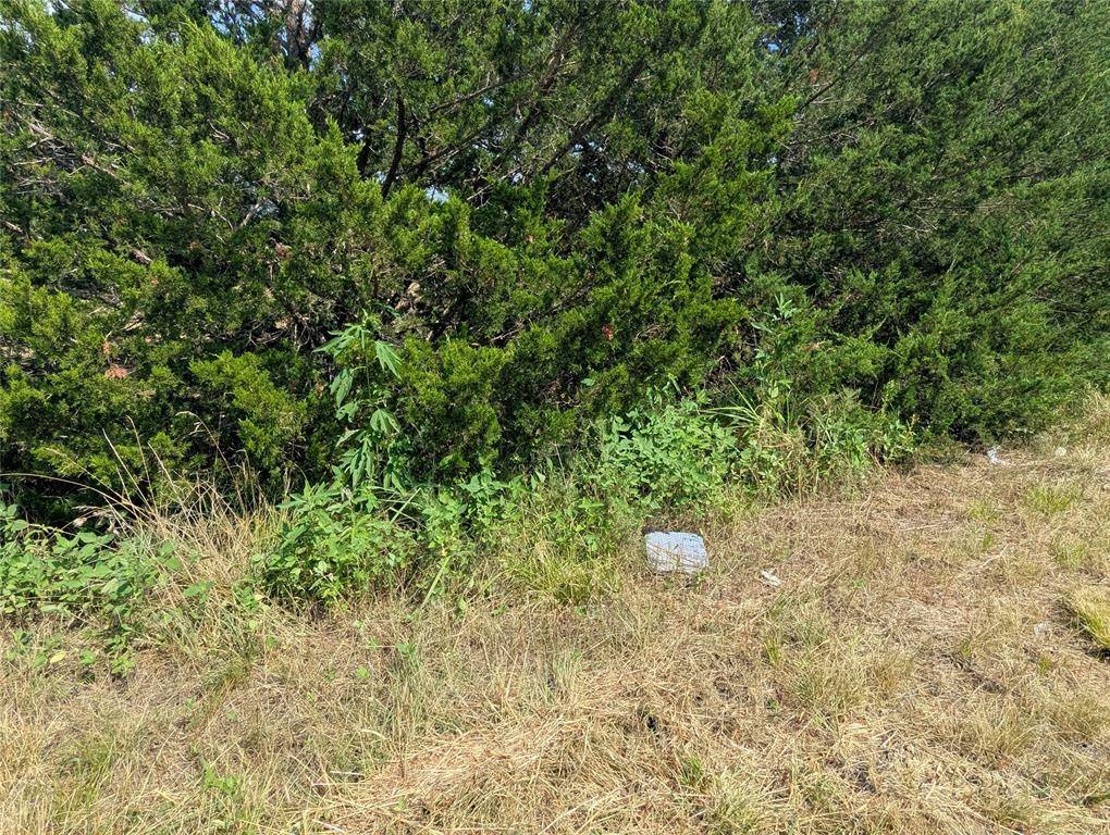 Blue Ridge, TX 75424,11008 County Road 670