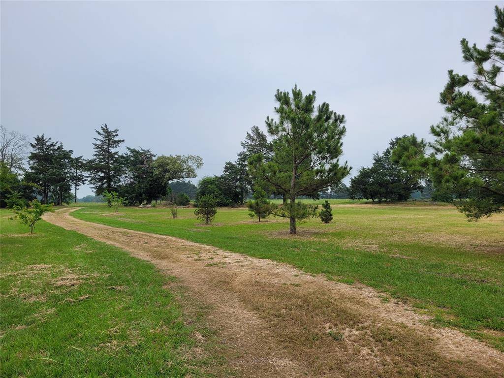 Detroit, TX 75436,700 CR 45900