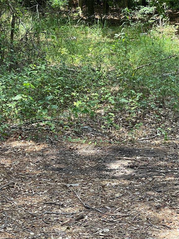 Grand Cane, LA 71032,0 Ranchland Drive