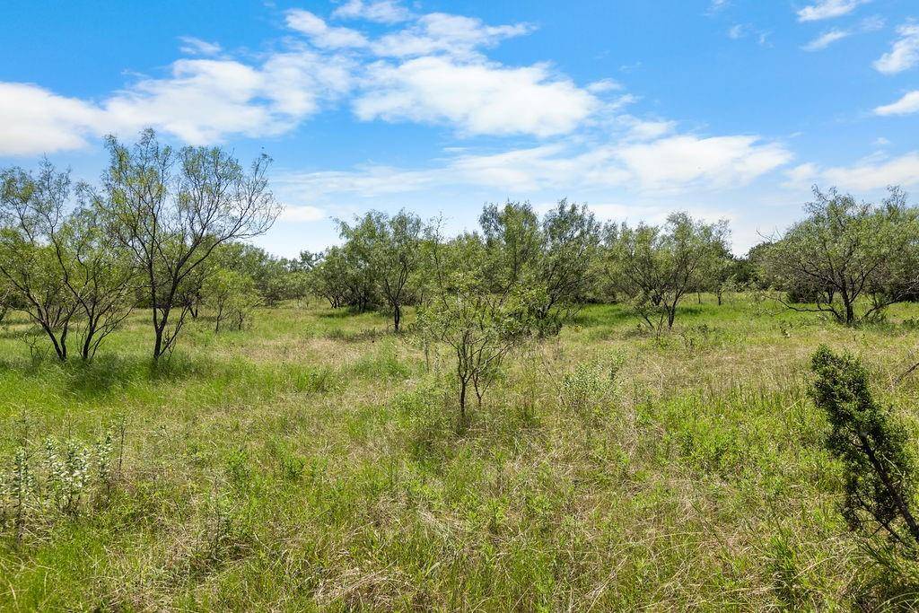 Hico, TX 76457,000 CR 539