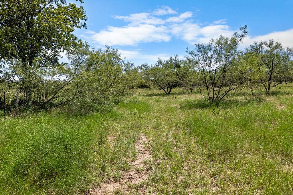 Hico, TX 76457,000 CR 539