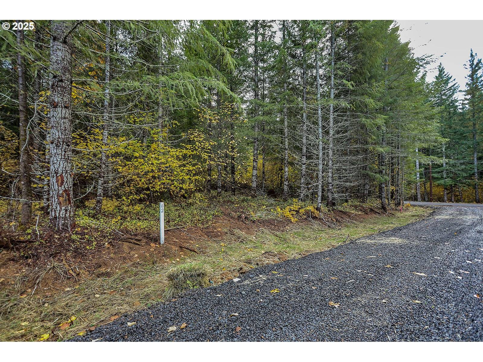 Carson, WA 98610,42 Hawk Meadows RD