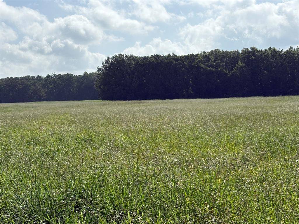 Talco, TX 75487,TBD CR 2120 #2