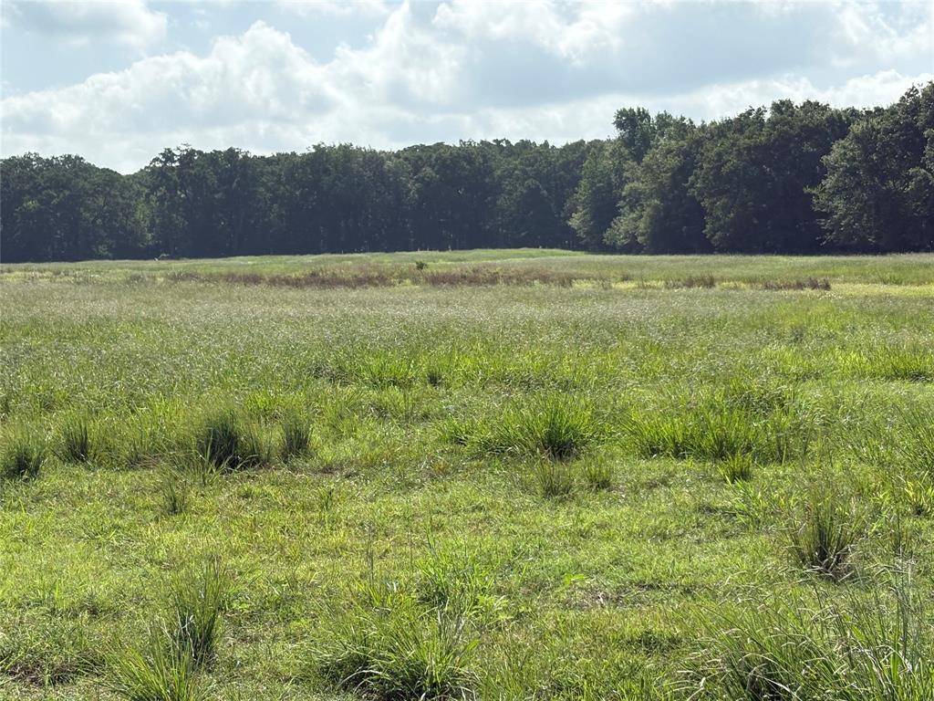 Talco, TX 75487,TBD CR 2120 #2